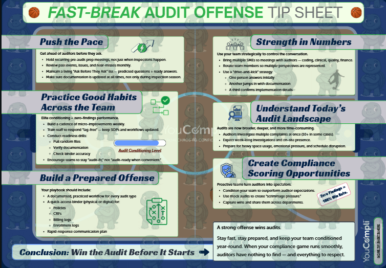 healthcare audits tip sheet download