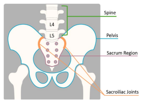 SI joints diagram